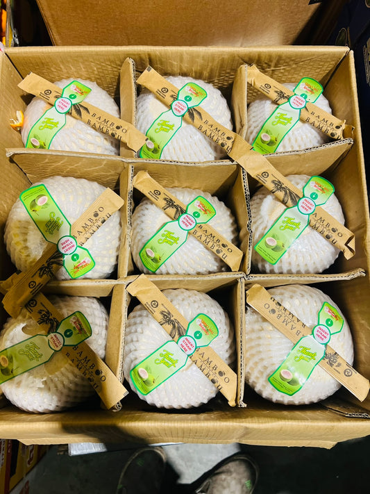 Tender Coconut/ Philippines (1*9) مشلي/فلبيني
