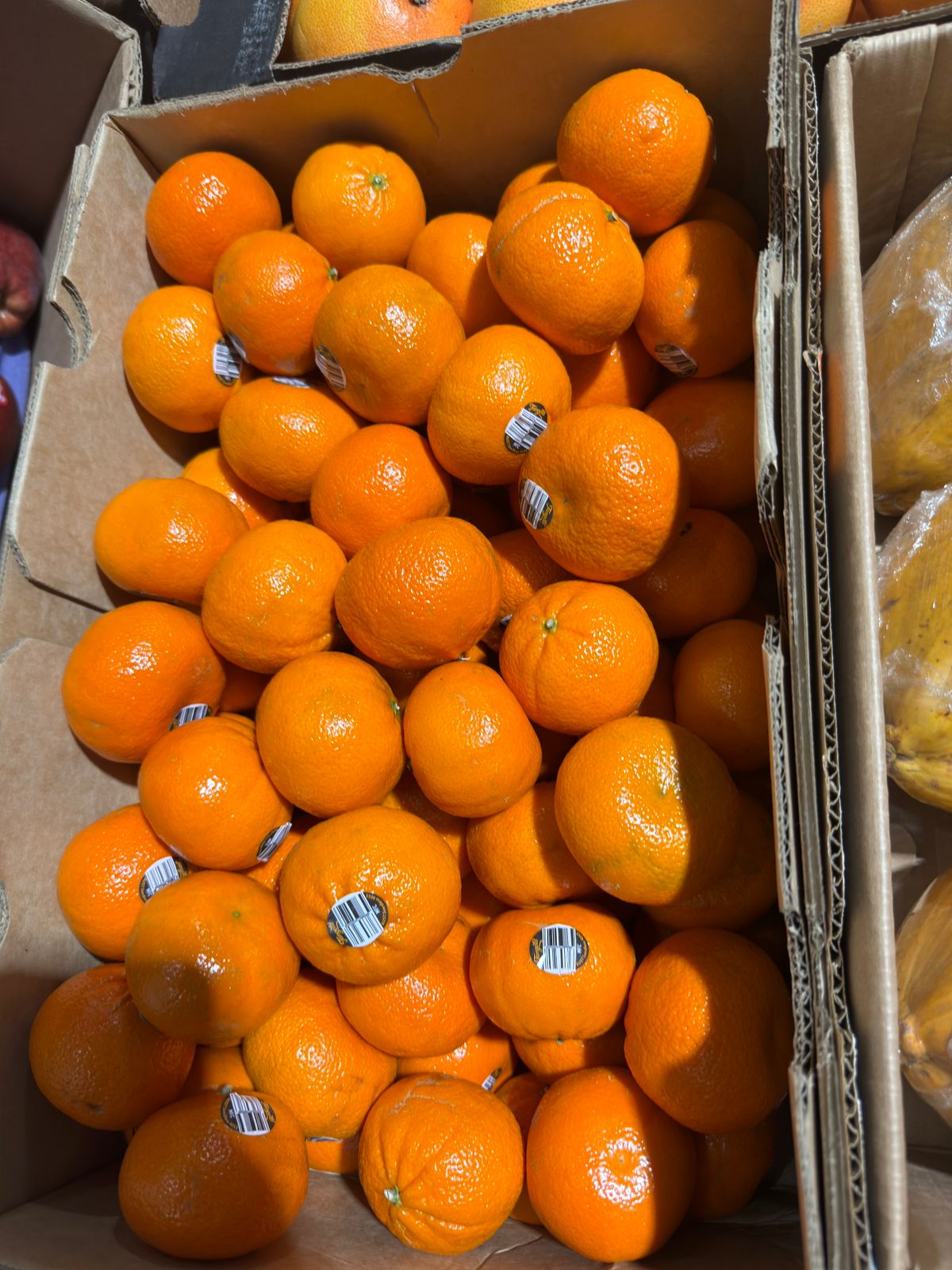 Mandarin (Australia) BOX 7-8kg سنترة استرالي كرتون