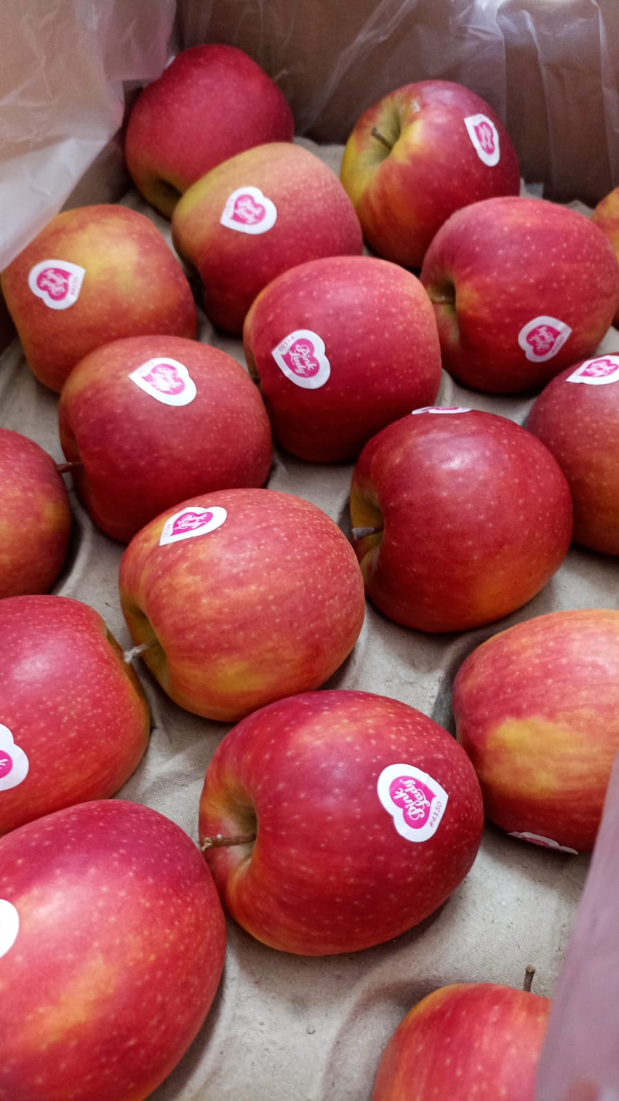 Apple/ Pink Lady 10PC تفاح بينك ليدي 10 حبات