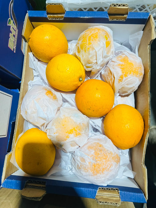 Orange abusura S/A 15PCS برتقال ابوصرة افريقي15 حبة