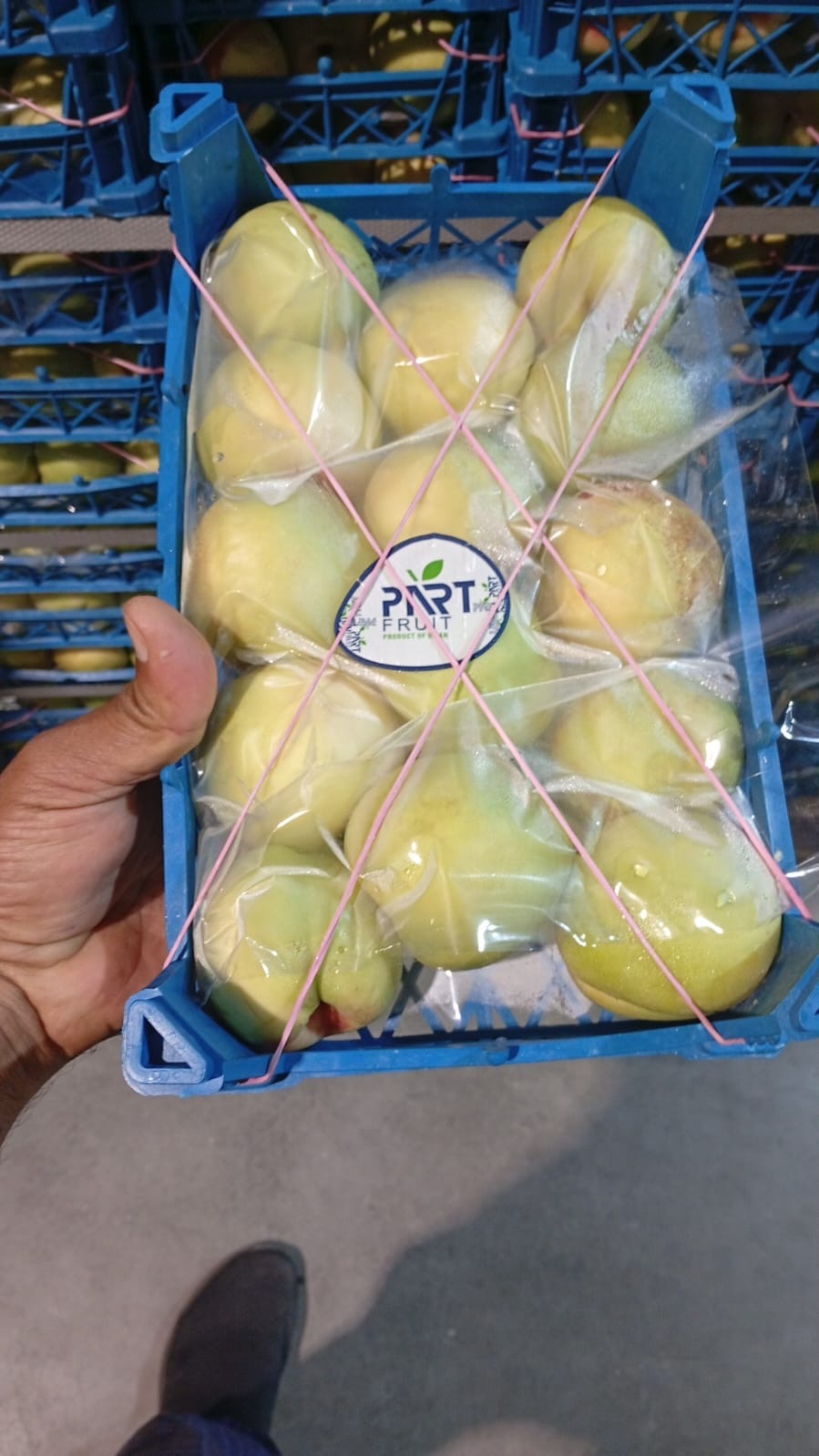 Apricot Small Basket مشمش سلة صغيرة