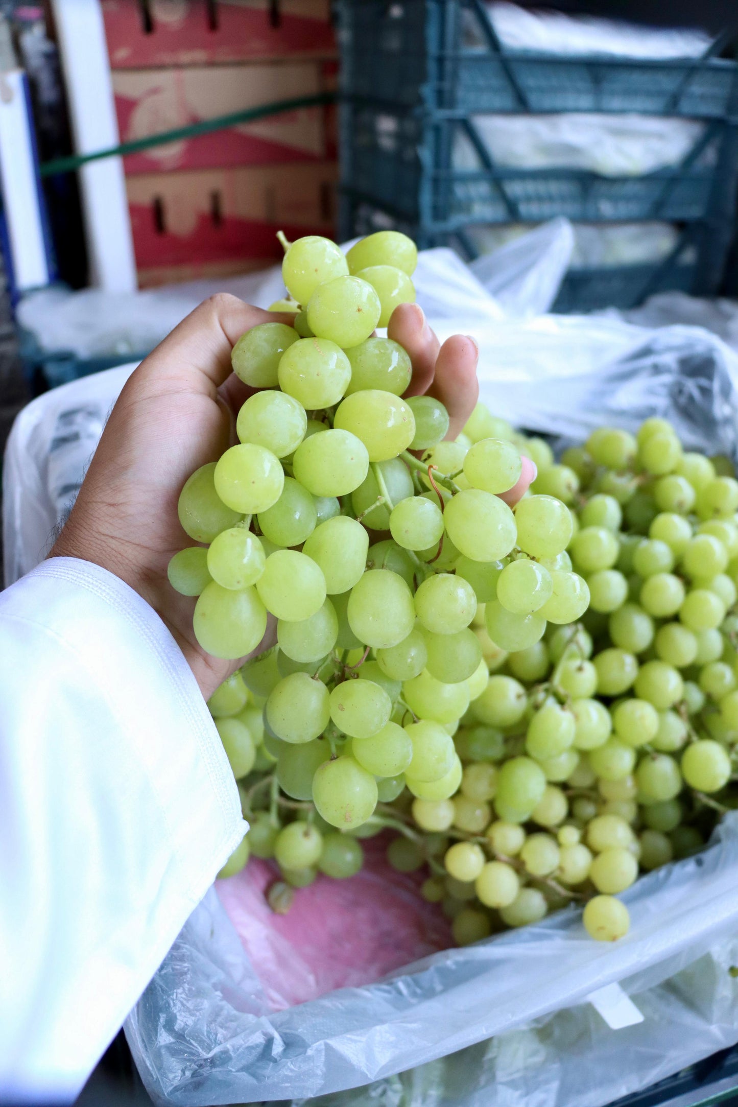 Grapes green 1kg عنب اخضر