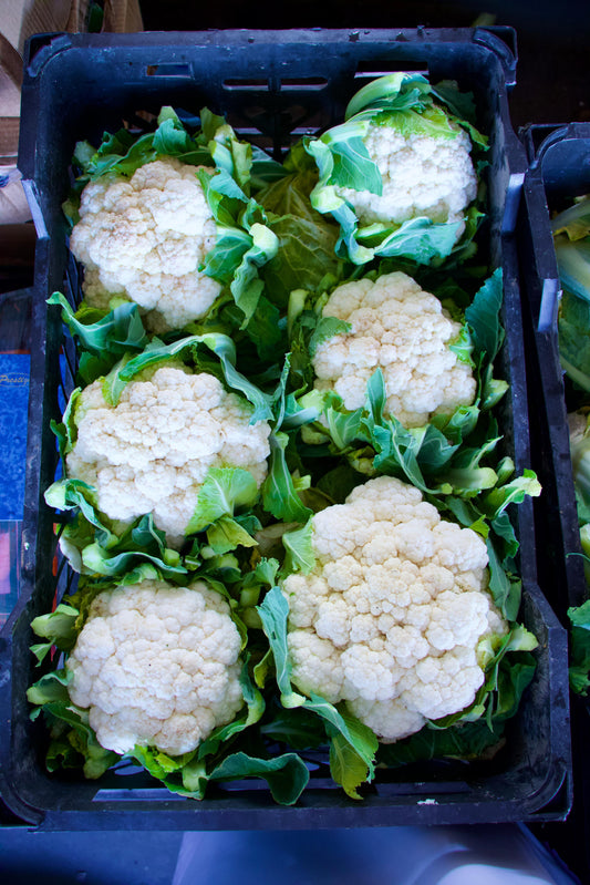 Cauliflower/ box 6pc قرنبيط كرتون