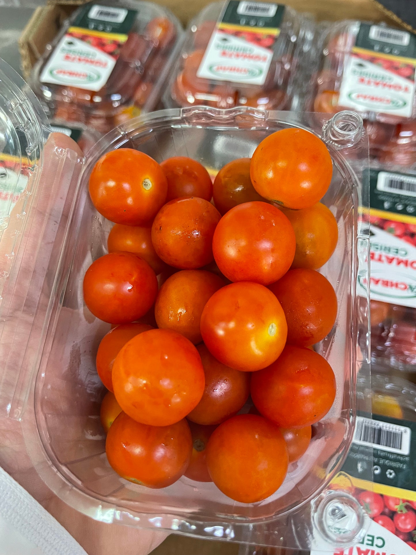 ((Cherry Tomato))  pct طماطم كرزي بكت