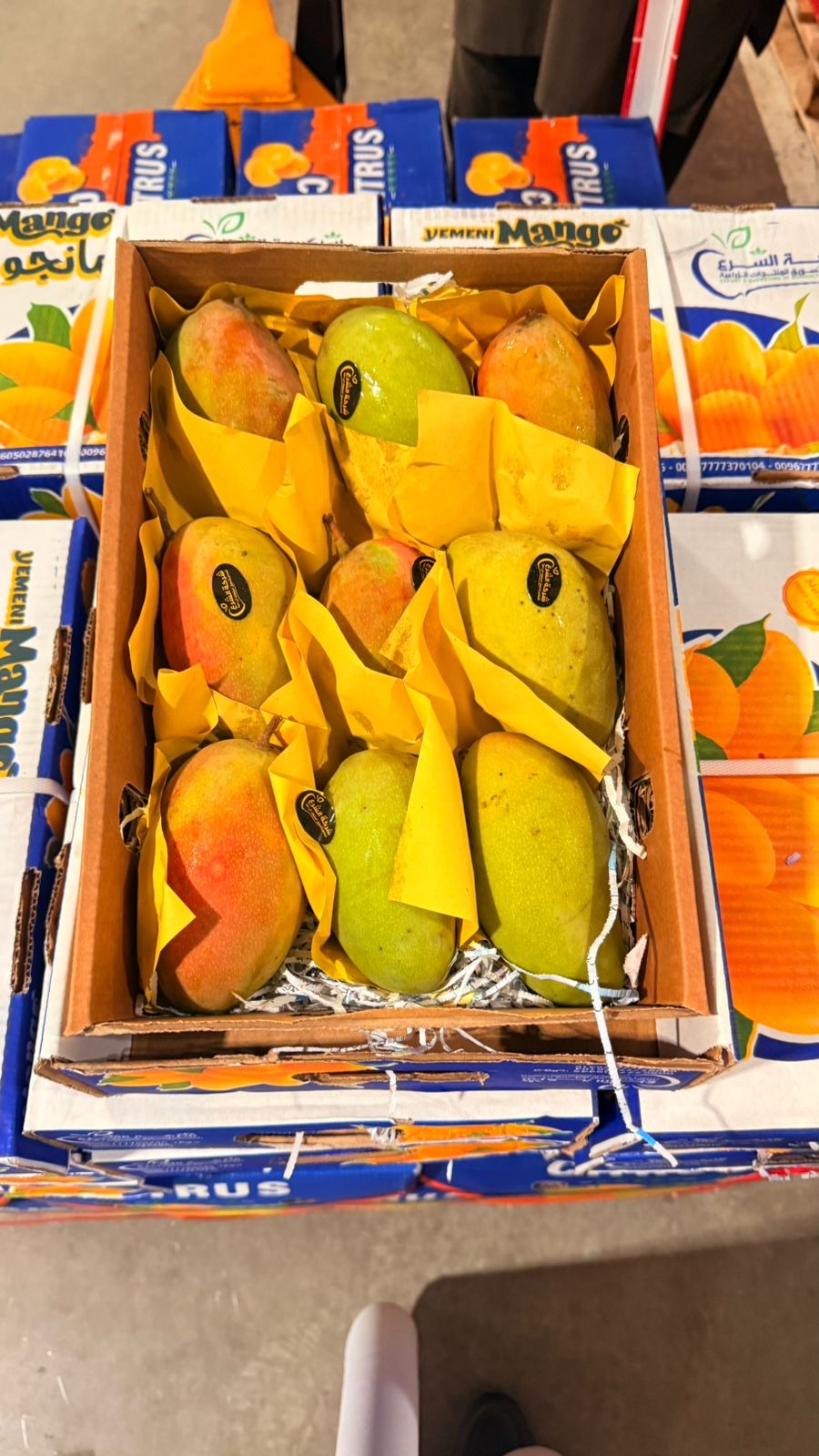 Mango Box/ Taymoor مانجو يمني تيمور كرتون