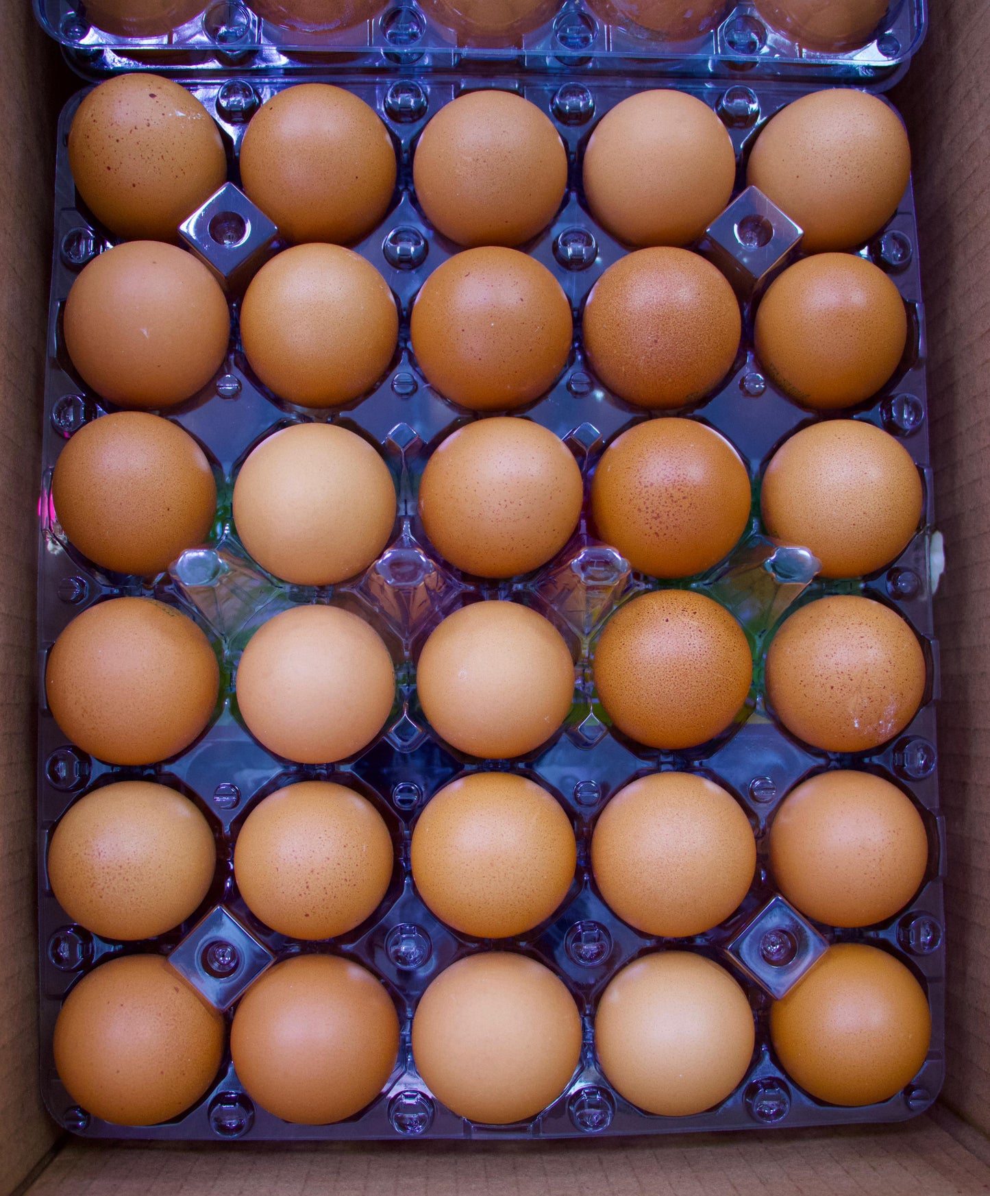 Eggs Oman/ Bidiya red (1*30) Pc بيض عماني