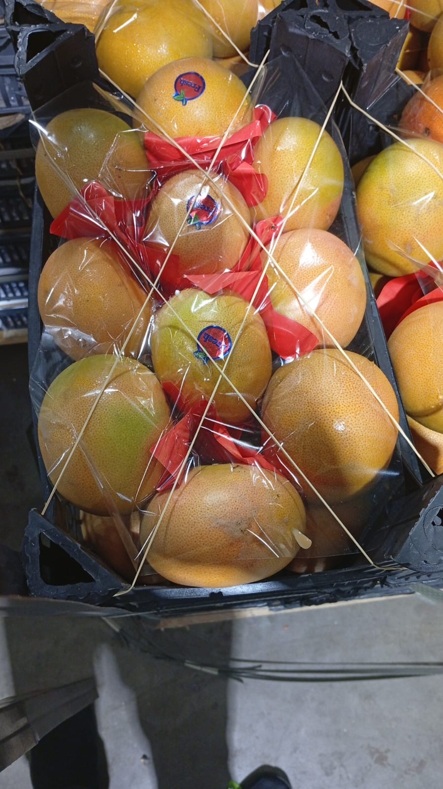 Grapefruit 4kg جريب فروت