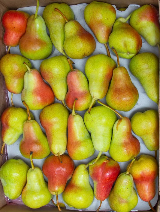Pears/ Rosemary box 13kg كمثرى روز ميري