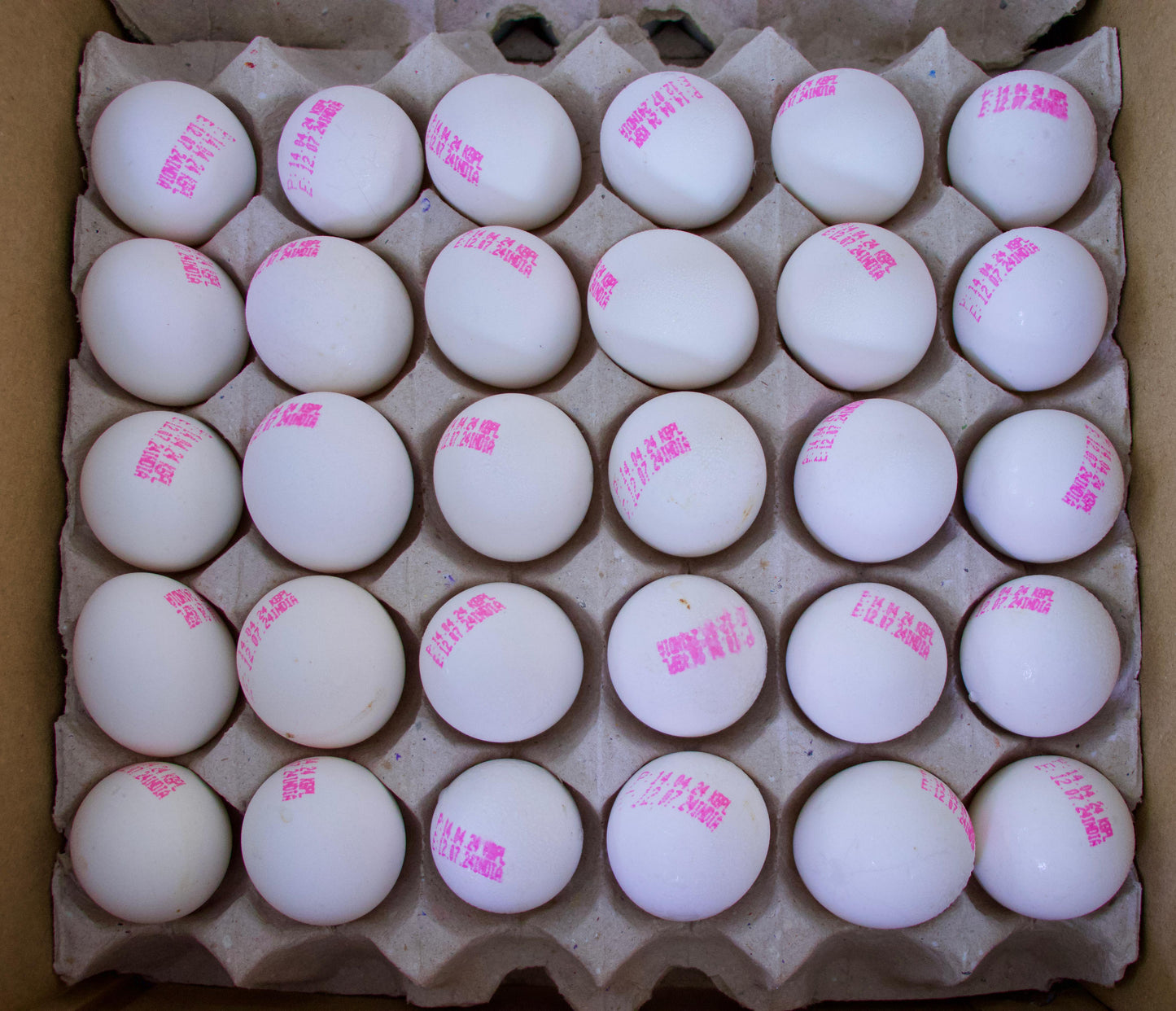 Eggs India 1x30Pcs Try بيض هندي