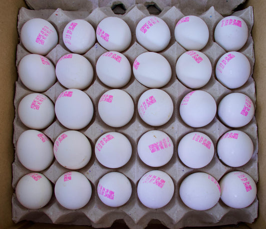 Eggs India 1x30Pcs Try بيض هندي