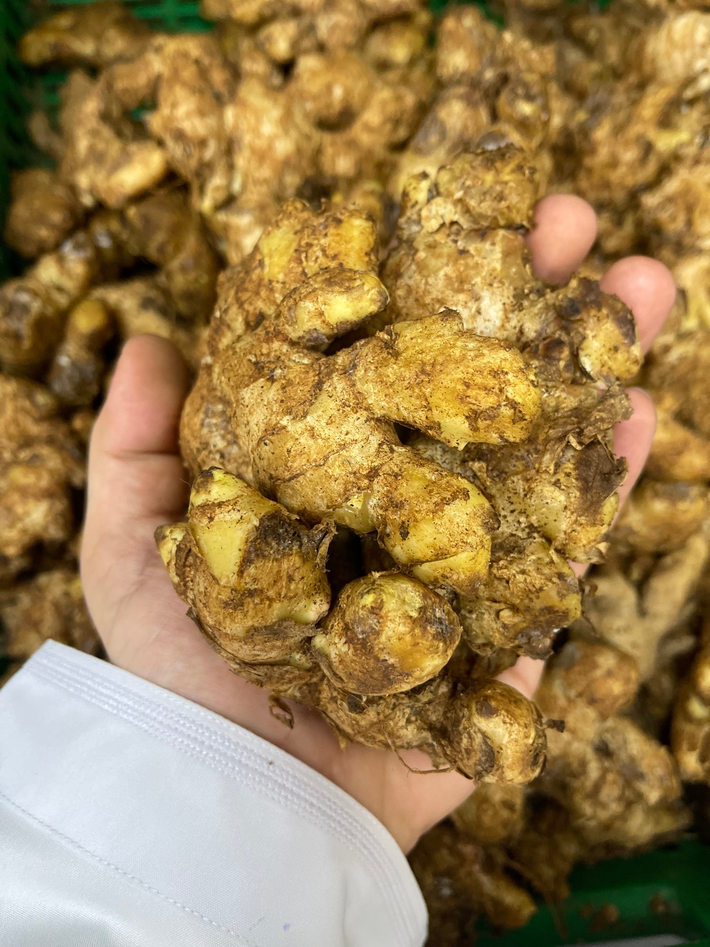 ((Ginger))India 0.5kg زنجبيل هندي