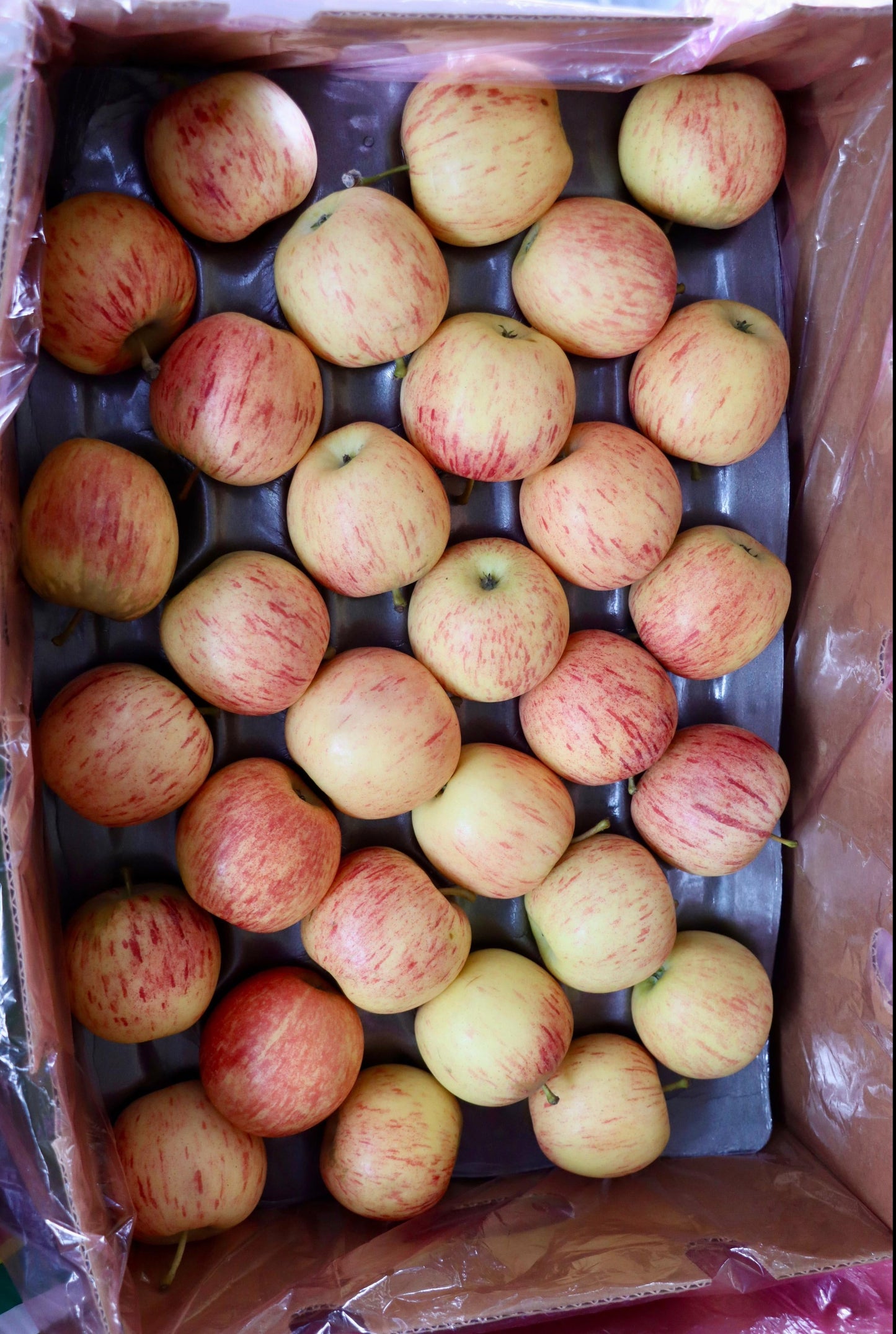 Apple/Royal Gala Tray 3.5kg تفاح رويال صفة