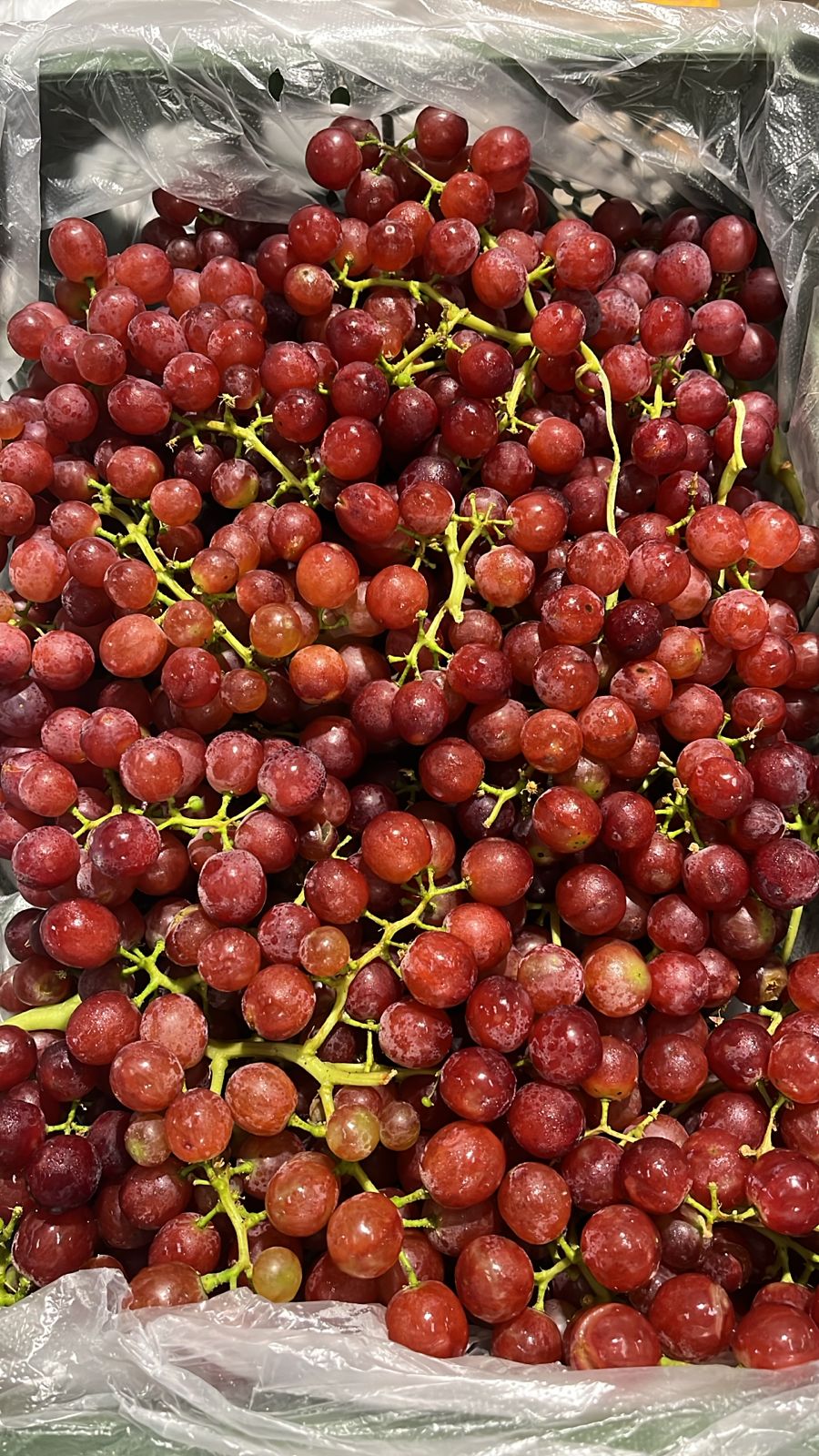 Grapes Red/ Egypt 3.5kg عنب احمر مصري