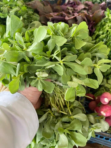Leaves (Purslane) 1kg فرفرينا/ خليلقا