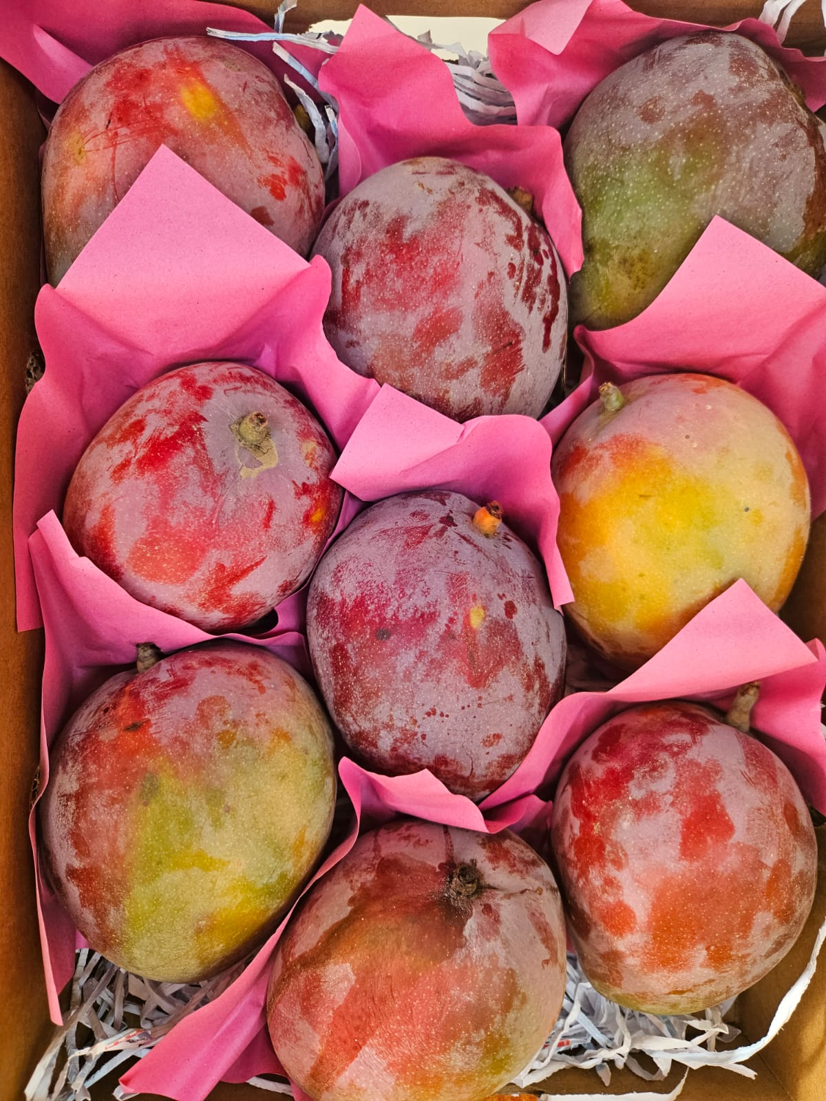 (Mango)Kalbatoor 0.5Kg مانجو قلب الثور