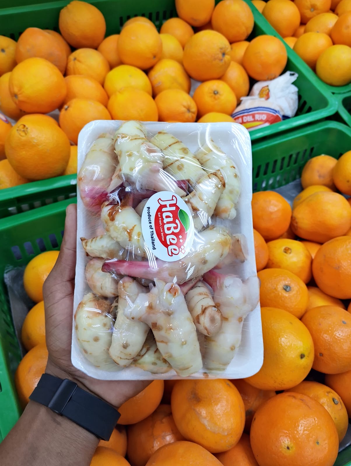 ((Ginger))Thailand Pct زنجبيل تايلندي بكت