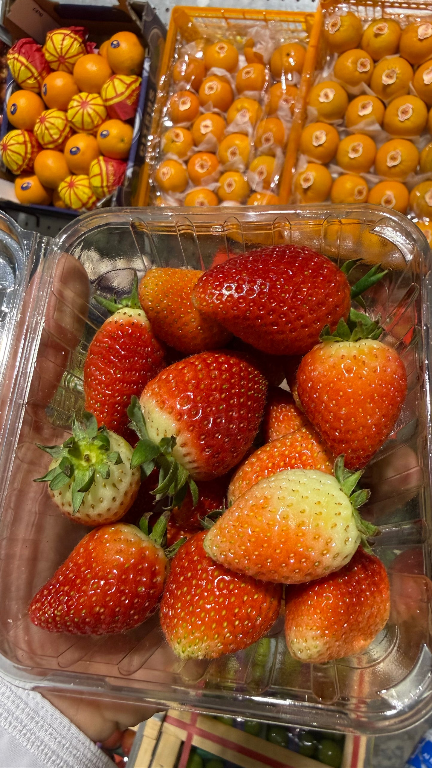 ((Strawberry))Jordan pct فراولة اردنية