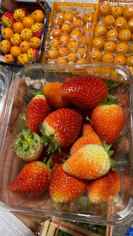 ((Strawberry))Jordan pct فراولة اردنية