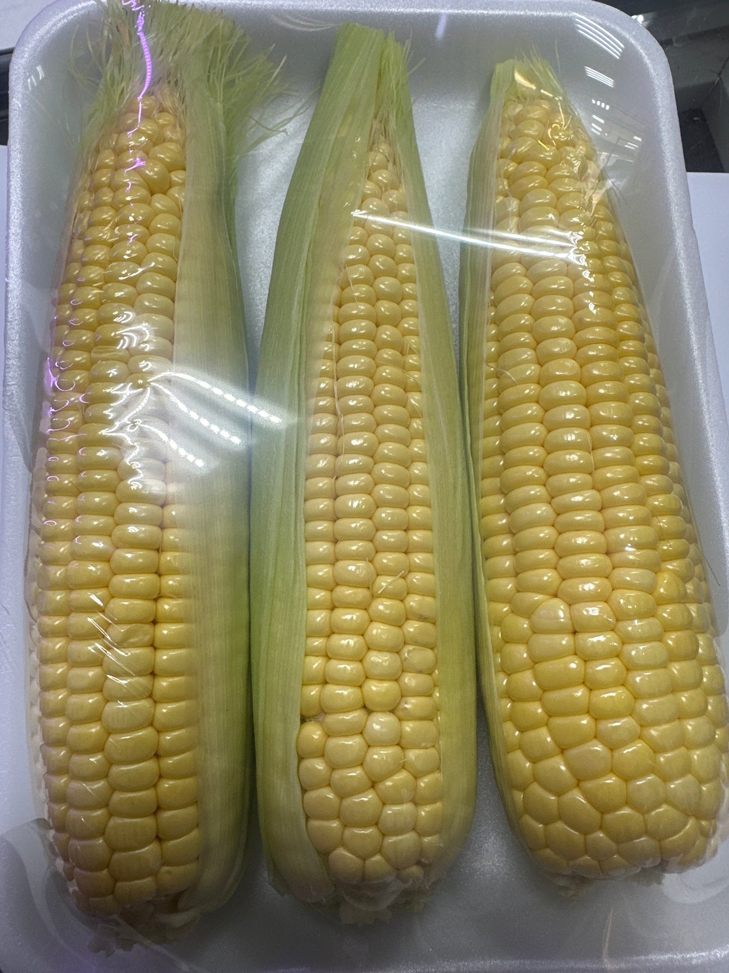 ((Sweet))Corn 5pc ذرة 5 حبات