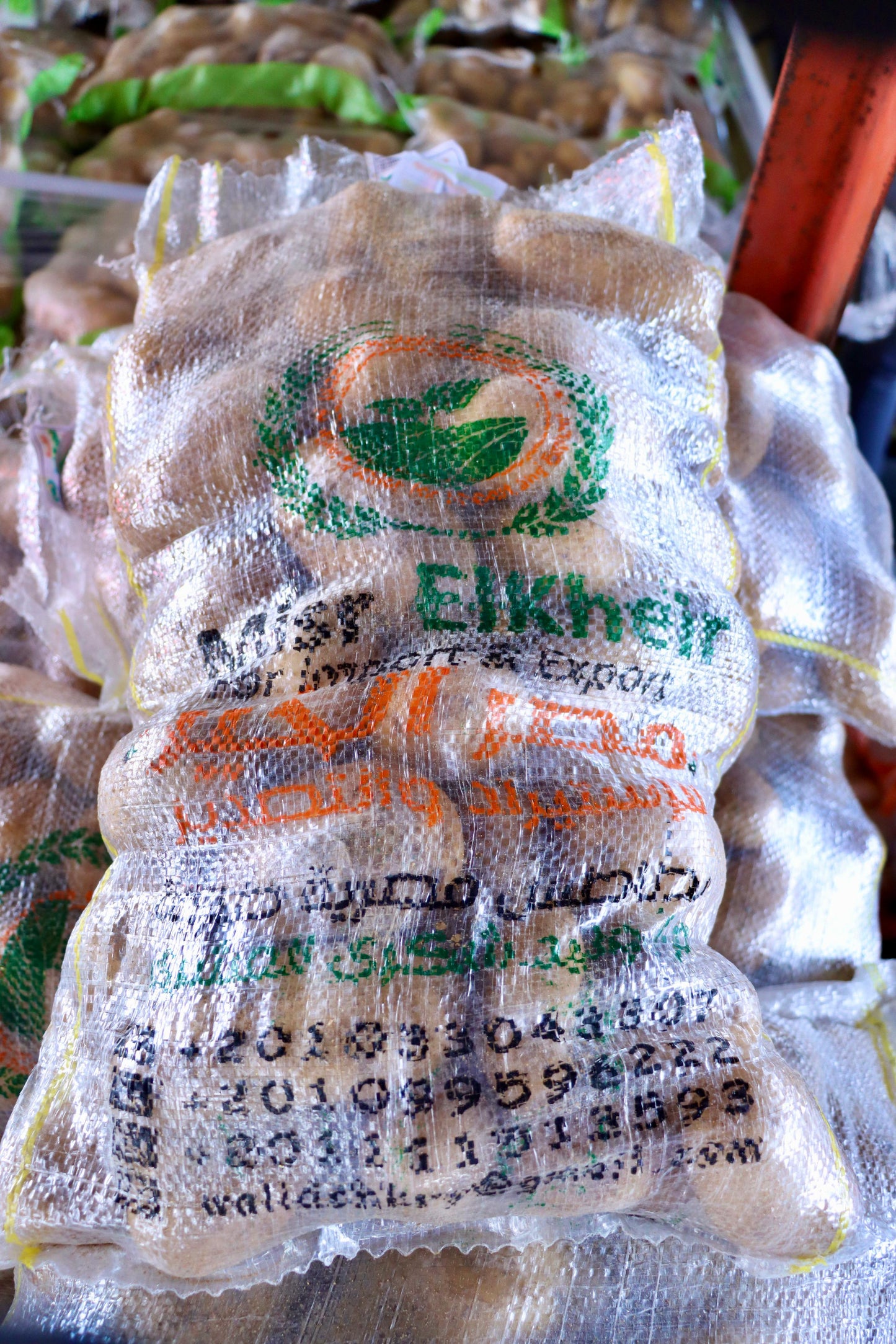 Potato/ Egypt 0.5kg بطاطا مصري