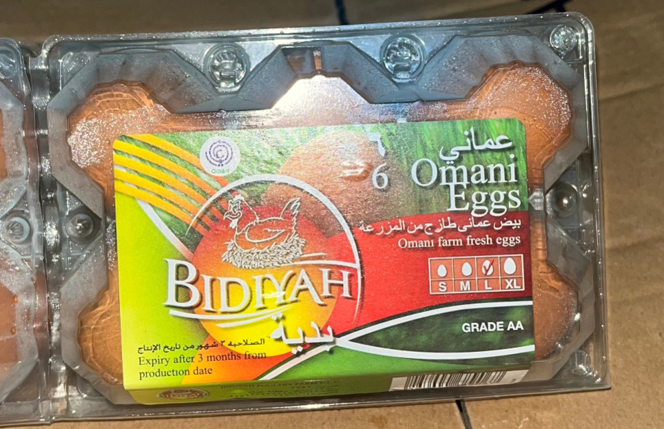 EGG BIDIYA PKT 6PCS بيض بدية