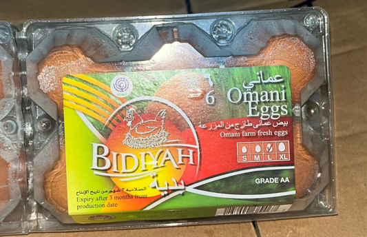 EGG BIDIYA PKT 6PCS بيض بدية