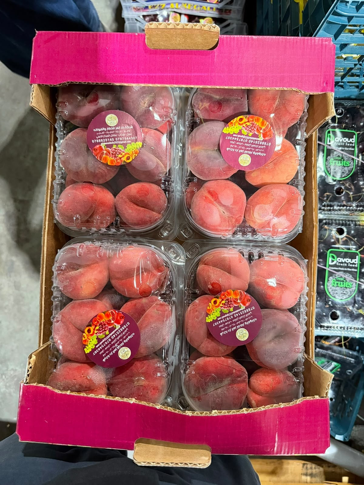 Flat Peach Turkey (1*4) كعب الغزال تركي