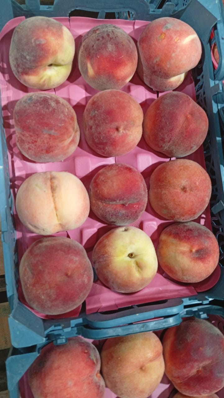 Peach small Basket خوخ سلة صغيرة