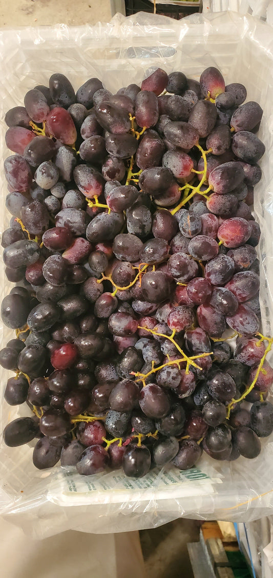 Grapes Black/ Egypt 3.5kg عنب اسود مصري
