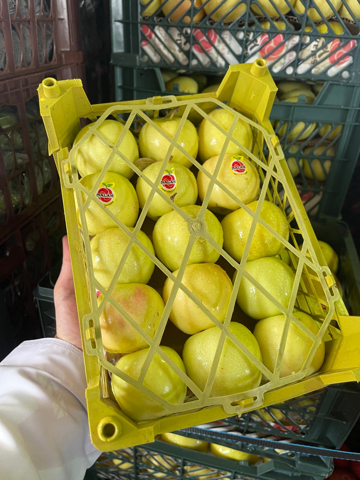 Apple/Iran basket تفاح اصفر ايراني سلة