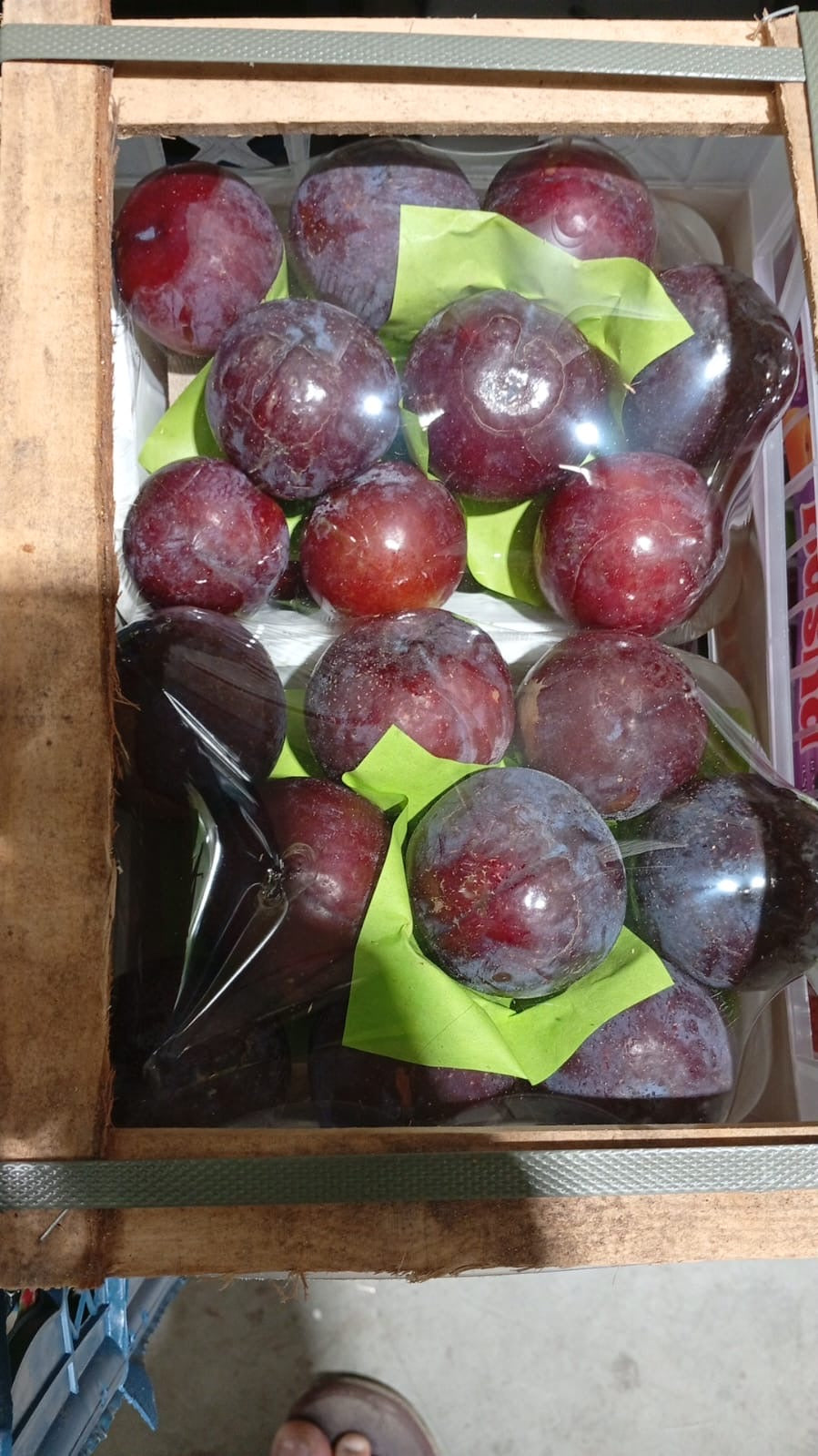 Plums- Black (1*2) برقوق اسود