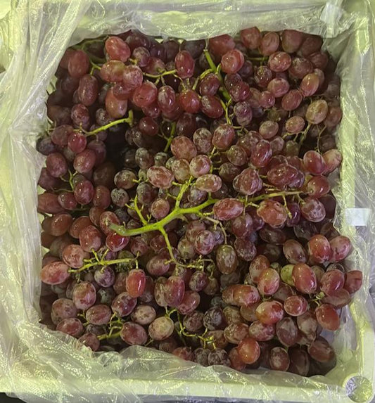 Grapes Red عنب احمر سله