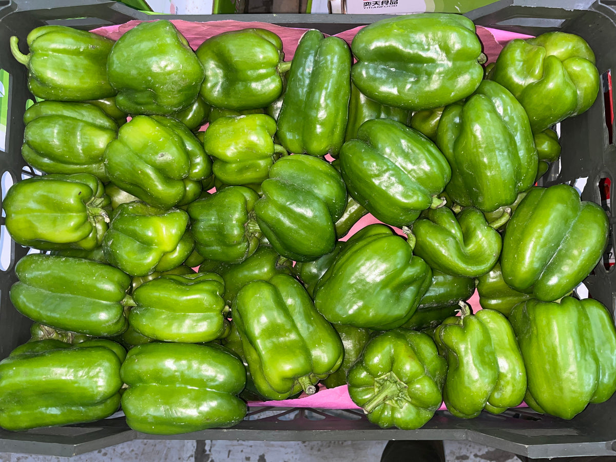 Bell Pepper/ Oman 7.5kg فلفل رومي اخضر