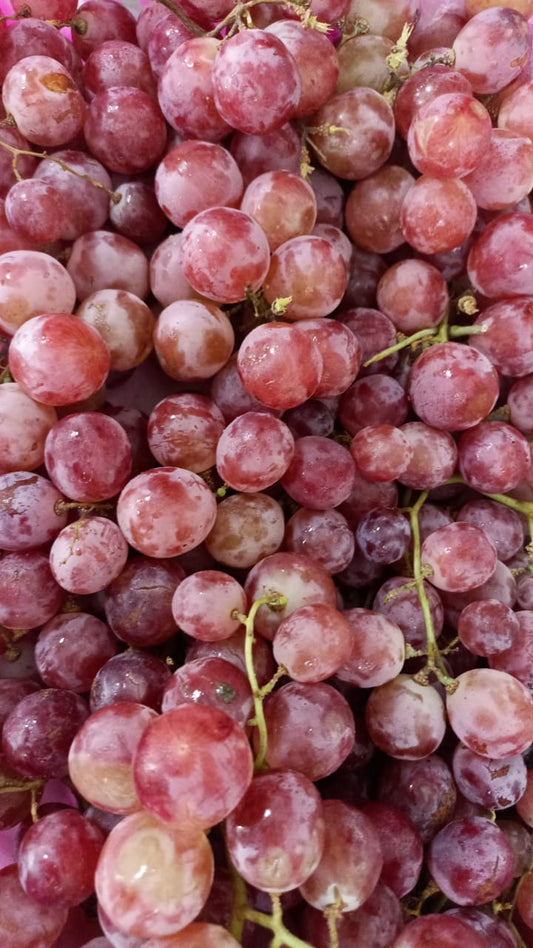 Grapes Red/ Globe Pct  عنب احمر بكت