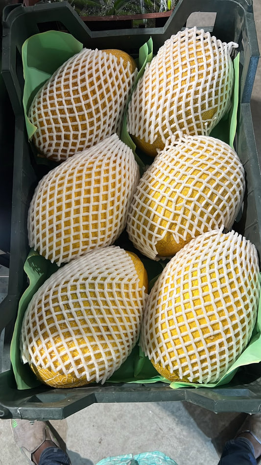 Cantaloupe Gold/ Iran 8kg شمام ايراني ذهبي