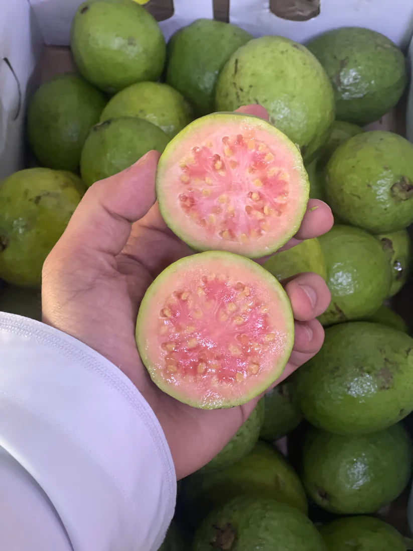 ((Guava))India/ Red 0.5kg جوافة/هندية حمراء