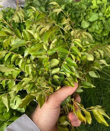 Leaves (Curry) 1kg اوراق كاري (غار)
