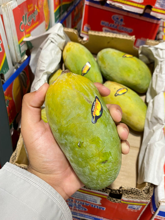 (Mango) Fish 0.5kg مانجو سمكة