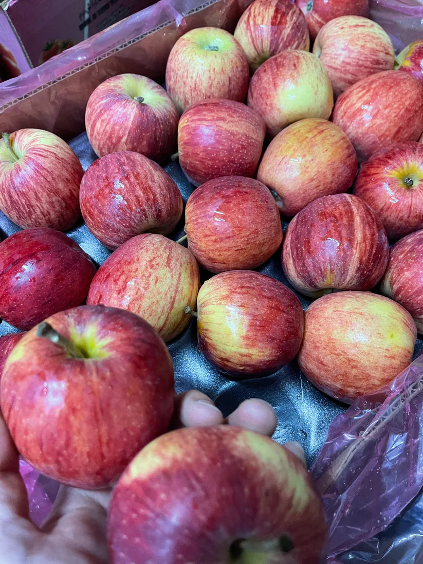 Apple/Royal Gala 10PC تفاح رويال غالا 10 حبات
