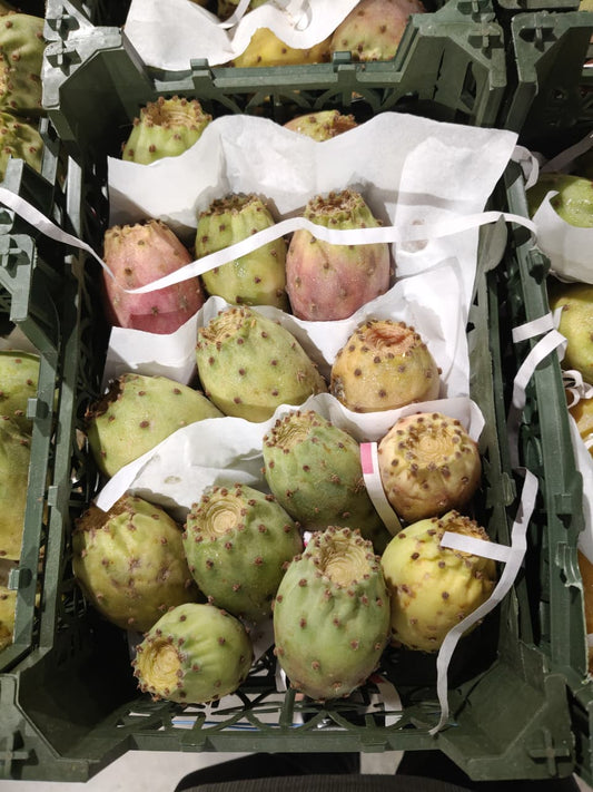 ((Barbary Fig)) سلة تين شوكي