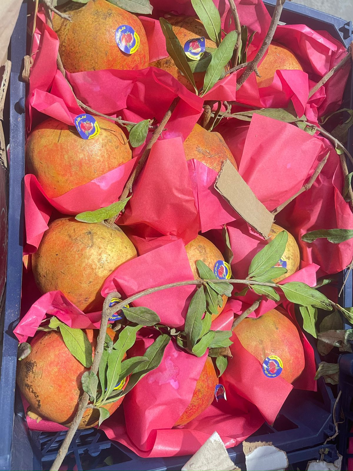 Pomegranate Eygpt basket رمان مصري سلة