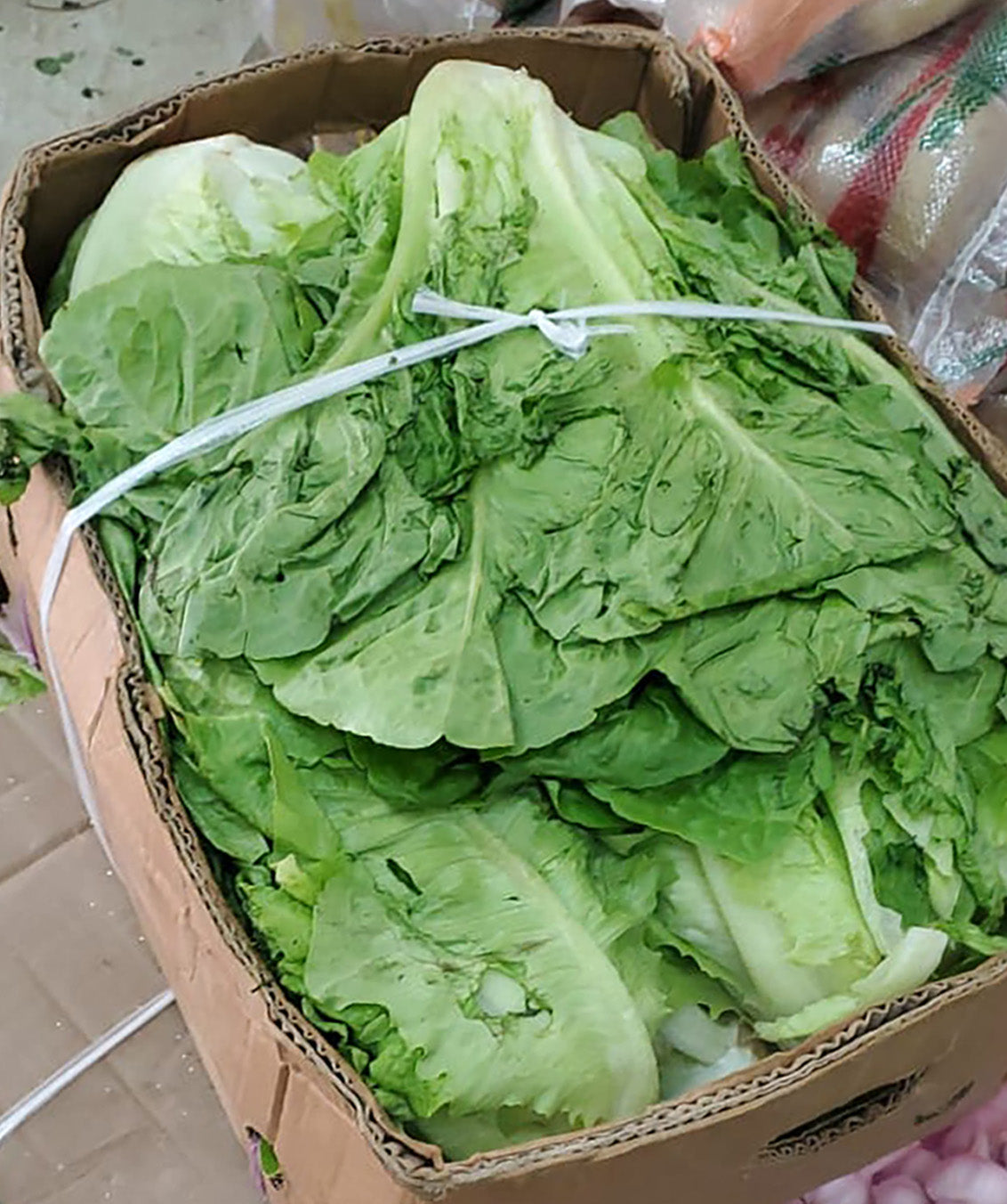 Leaves (Lettuce) 9kg خس عماني كرتون