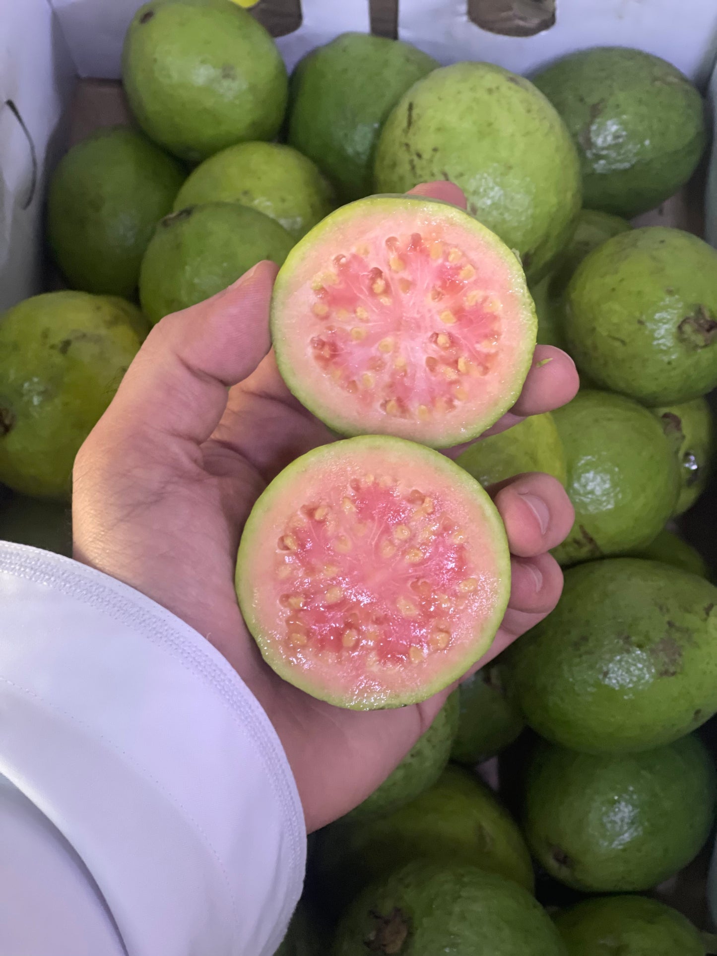((Guava))India/ Red Box جوافة/هندية حمراء