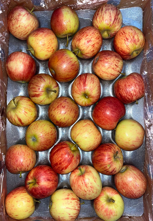 Apple Royal Gala S/A 18kg تفاح رويال غالا/ ج افريقيا