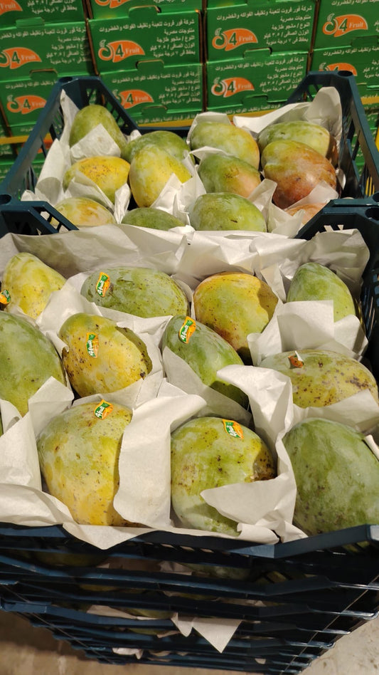 (Mango) Keeth 6kg مانجو كيت