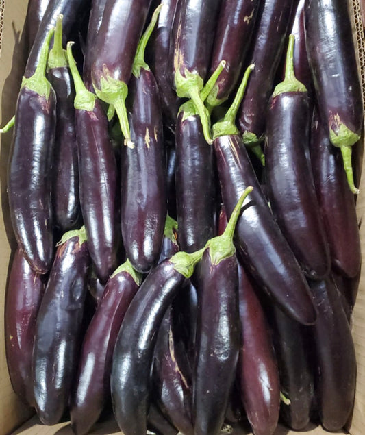 Eggplant Black long/ 1Kg باذنجان اسود طويل