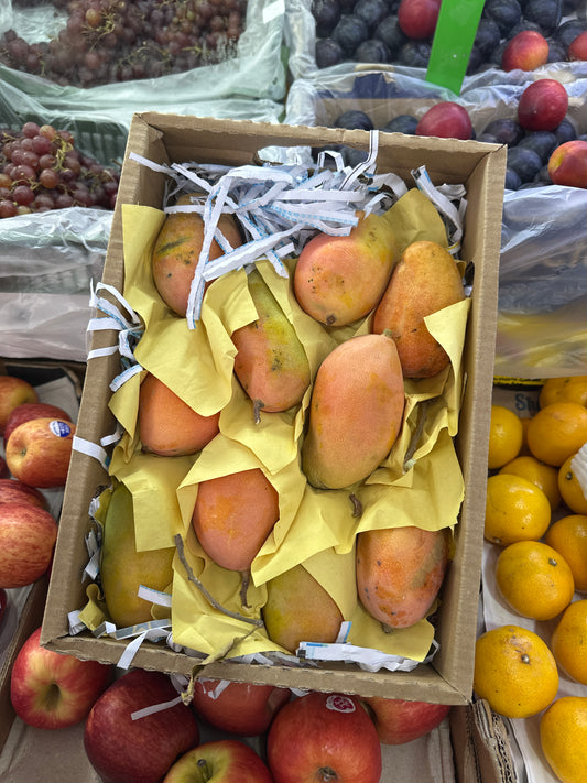 Mango Box/ Taymoor مانجو يمني تيمور كرتون