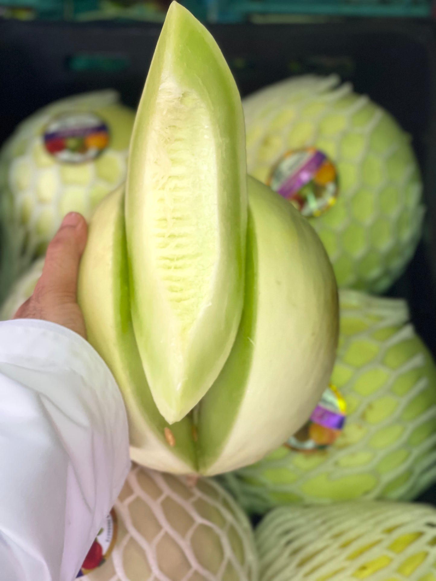 (Honey) Melon 1pc  شمام عسلي حبة