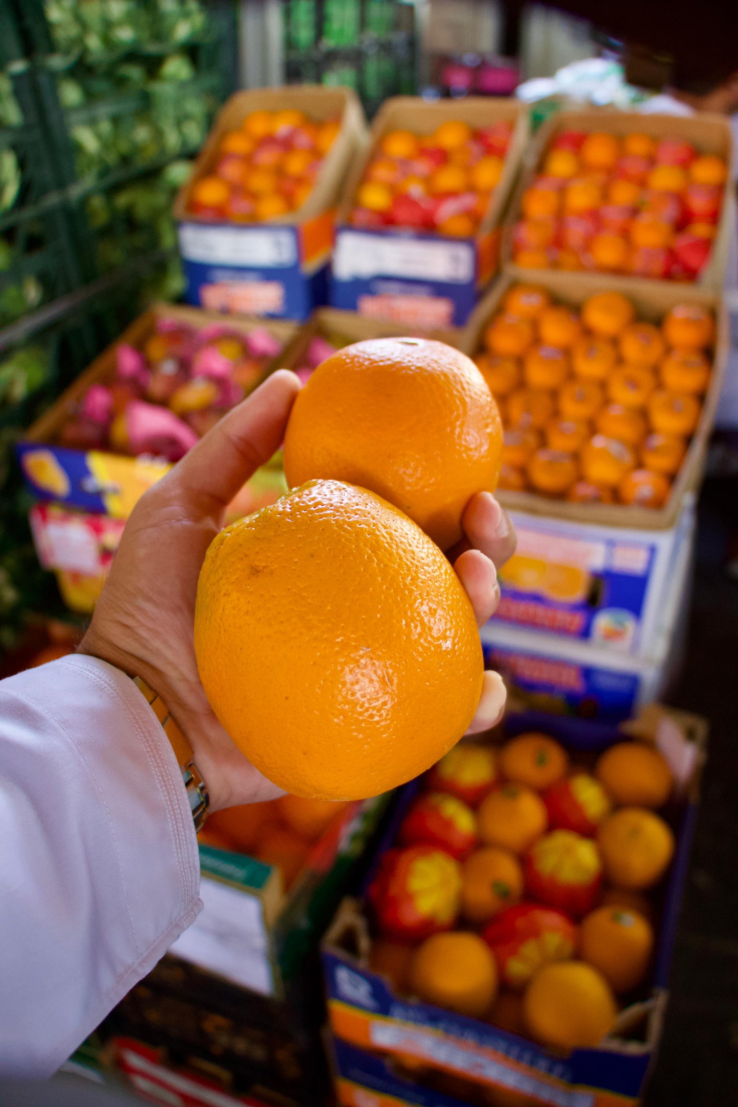 Orange Abu Sura S/Africa 1 Kg برتقال ابوصرة افريقي كيلو