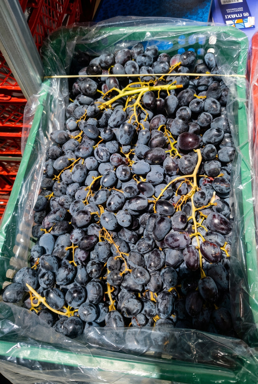 Grapes Lebanon Big عنب كبير لبناني